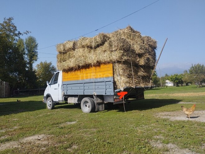 GAZ 33021 2000, 150,000 km - 2.4 l - Şəki