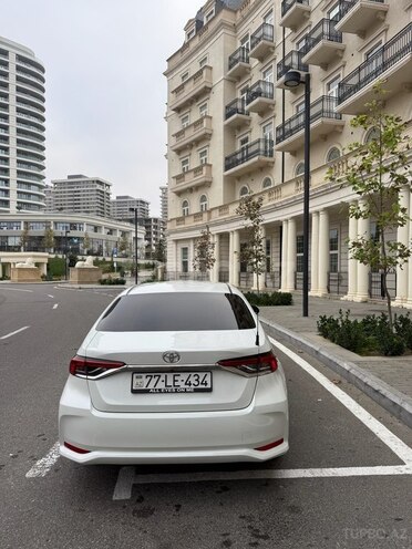 Toyota Corolla-6
