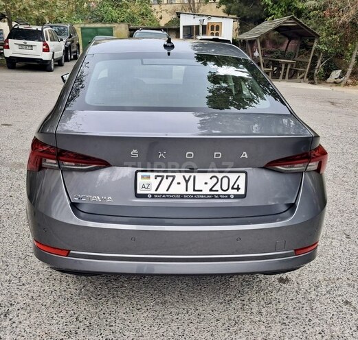 Skoda Octavia 2023, 13,600 km - 1.6 л - Bakı