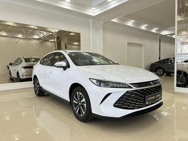 BYD Qin Plus-1