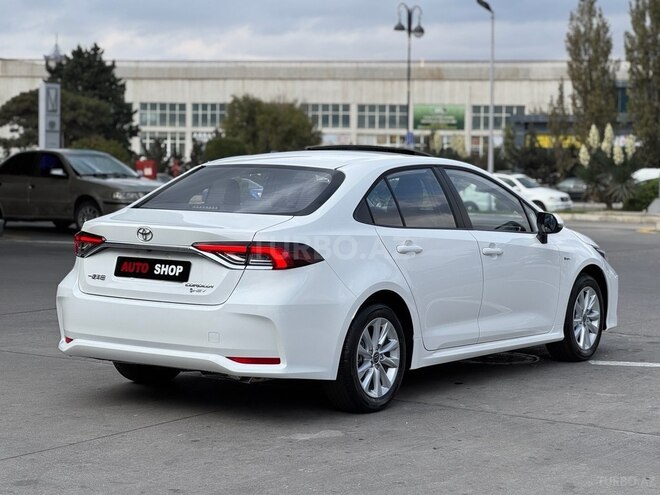 Toyota Corolla-4