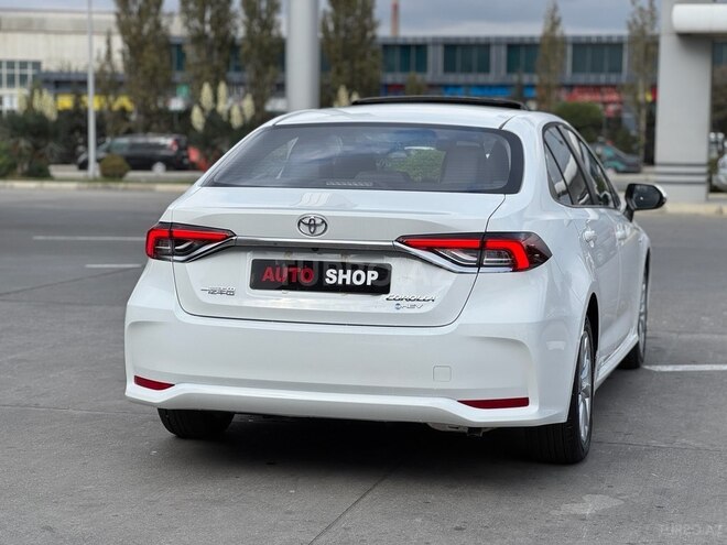 Toyota Corolla-6