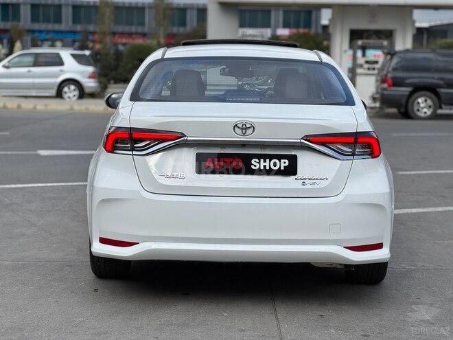 Toyota Corolla-7