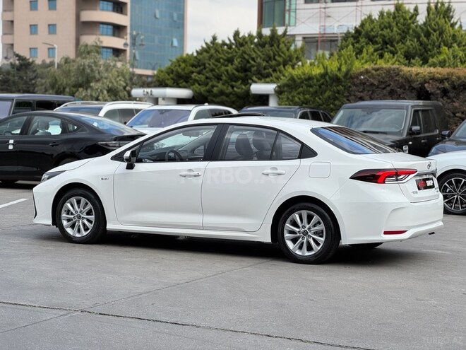 Toyota Corolla-9