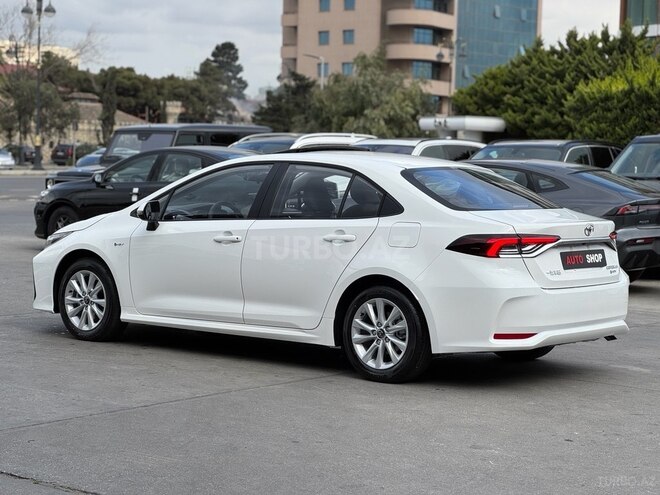 Toyota Corolla-8