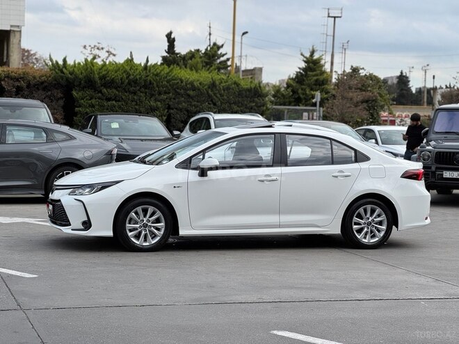 Toyota Corolla-10