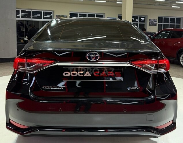 Toyota Corolla-16