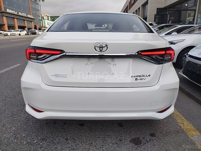 Toyota Corolla-4