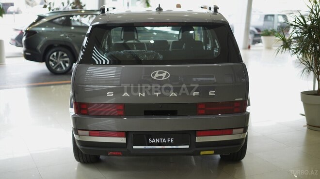 Hyundai Santa Fe-29