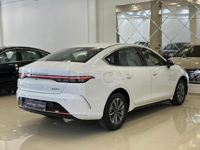 BYD Destroyer 05-12