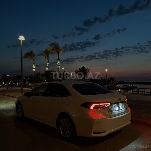 Toyota Corolla-17