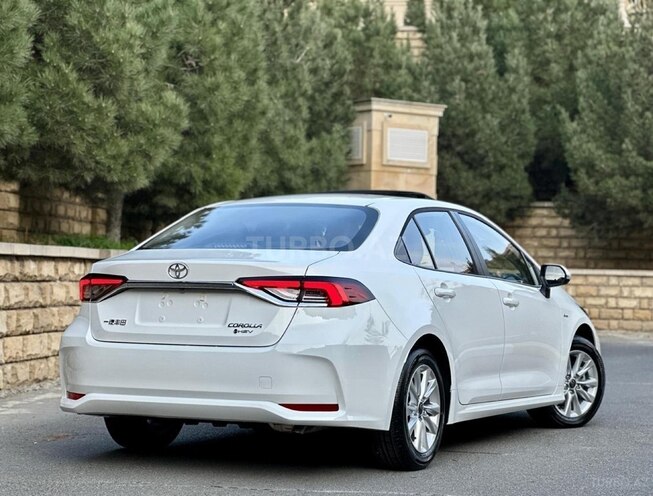 Toyota Corolla-8