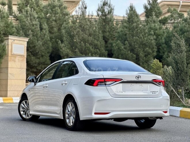 Toyota Corolla-6