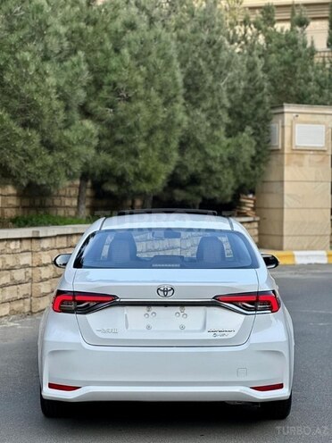 Toyota Corolla-7