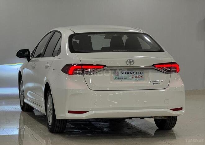Toyota Corolla-4