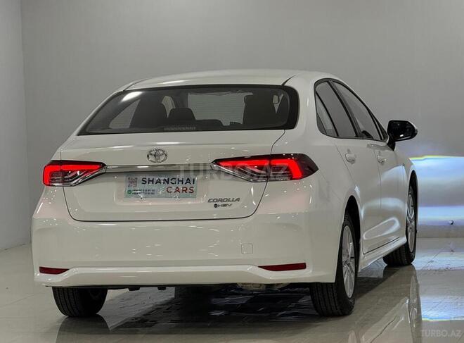 Toyota Corolla-7