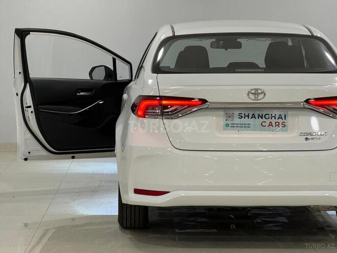 Toyota Corolla-6