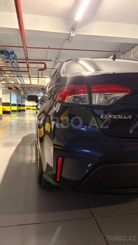 Toyota Corolla-7