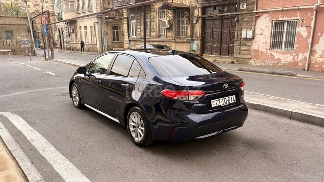 Toyota Corolla-6