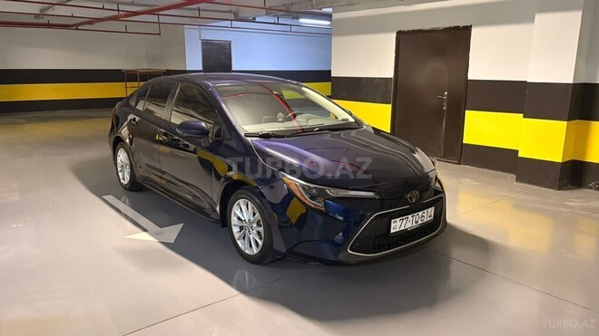 Toyota Corolla-11