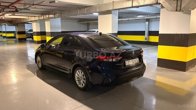 Toyota Corolla-16