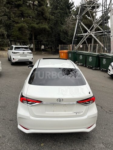 Toyota Corolla-6