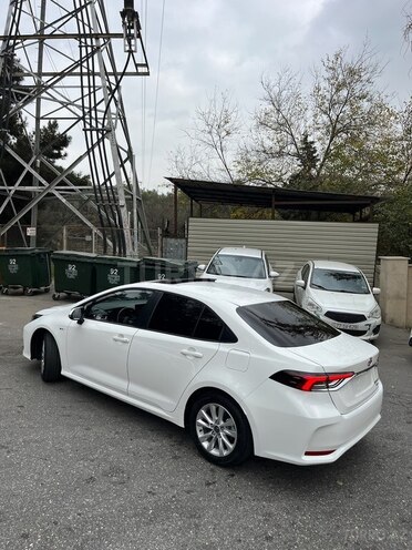 Toyota Corolla-8