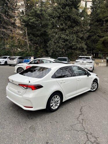 Toyota Corolla-7