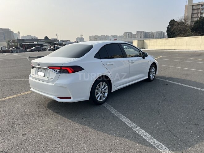 Toyota Corolla-6
