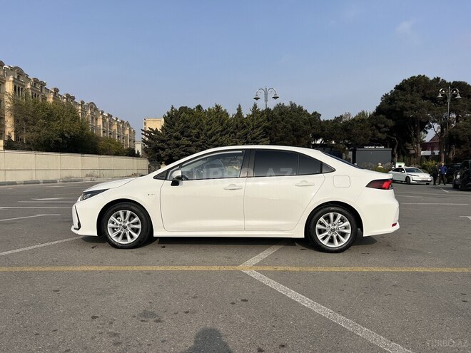Toyota Corolla-8