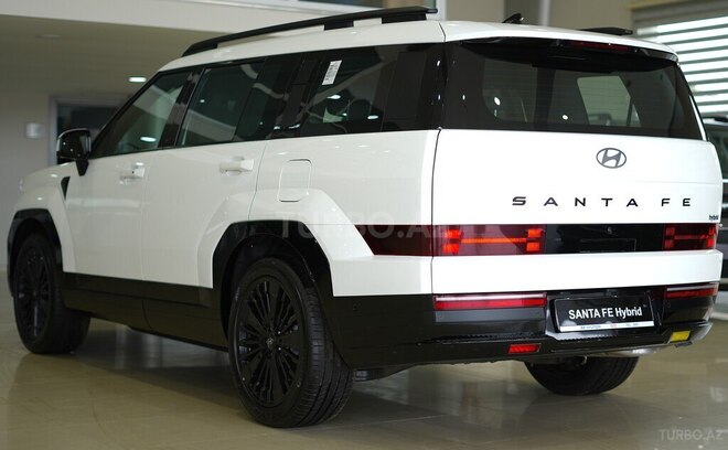 Hyundai Santa Fe-47