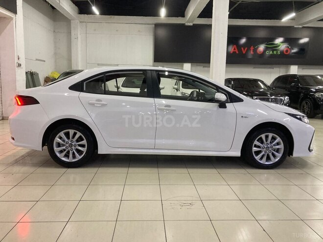 Toyota Corolla-4