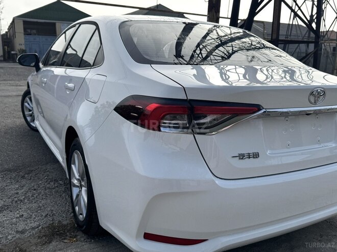 Toyota Corolla-7