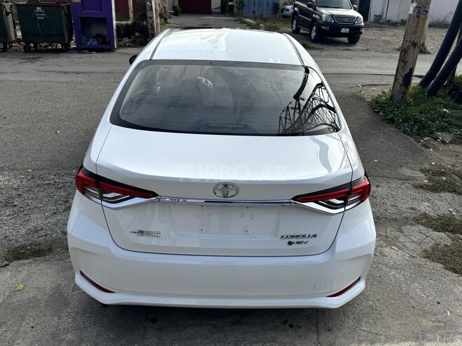 Toyota Corolla-6