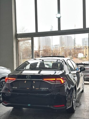 Toyota Corolla-6