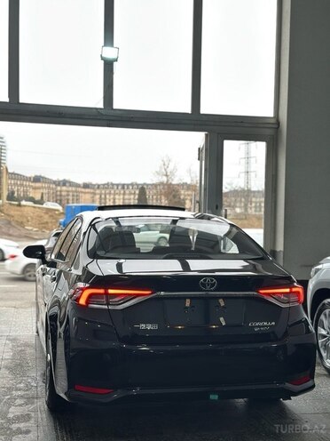 Toyota Corolla-7