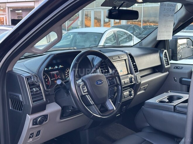 Ford F-150-12