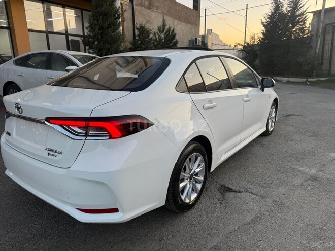 Toyota Corolla-8