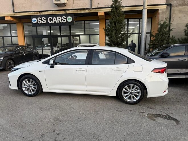 Toyota Corolla-15
