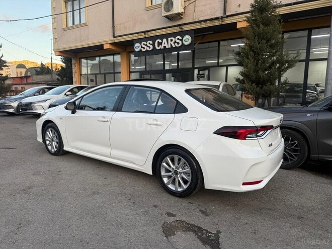 Toyota Corolla-17