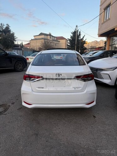 Toyota Corolla-16