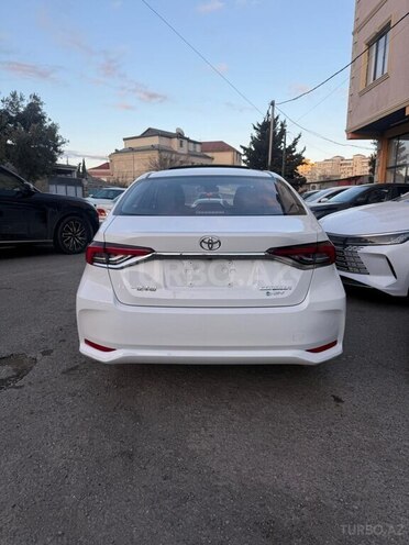 Toyota Corolla-19