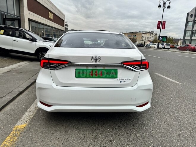Toyota Corolla-4