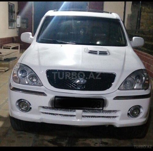 Hyundai Terracan-1