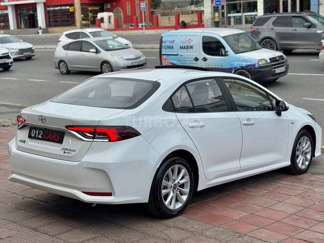 Toyota Corolla-6