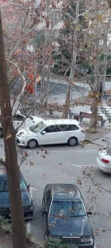 Toyota Corolla Fielder-14