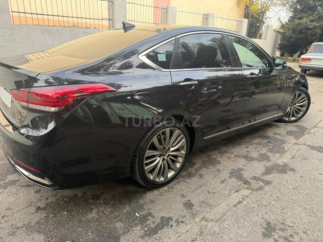 Genesis G80-11