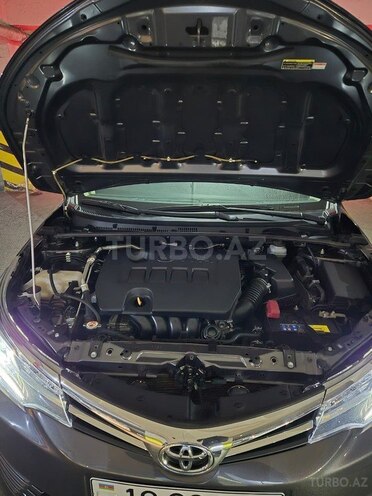Toyota Corolla-6