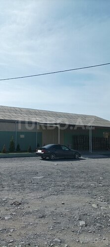 BMW 320 1997, 350,000 km - 2.0 l - Zaqatala