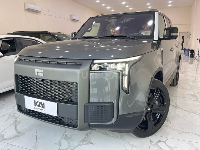 ROX (Polar Stone) 01-1